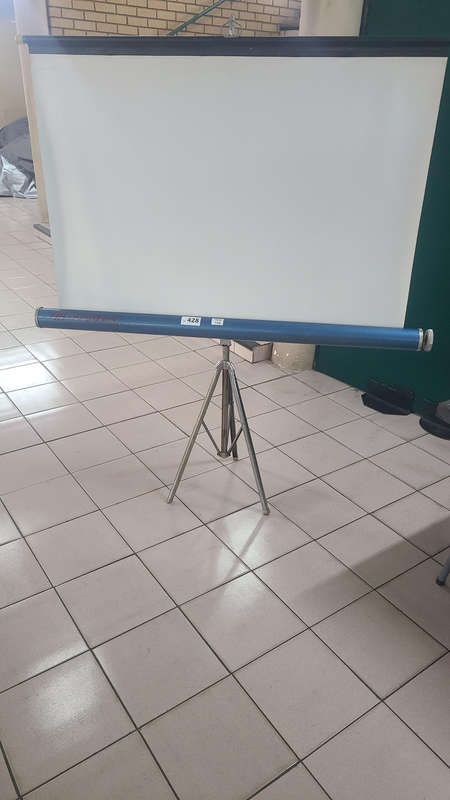 Projector screen