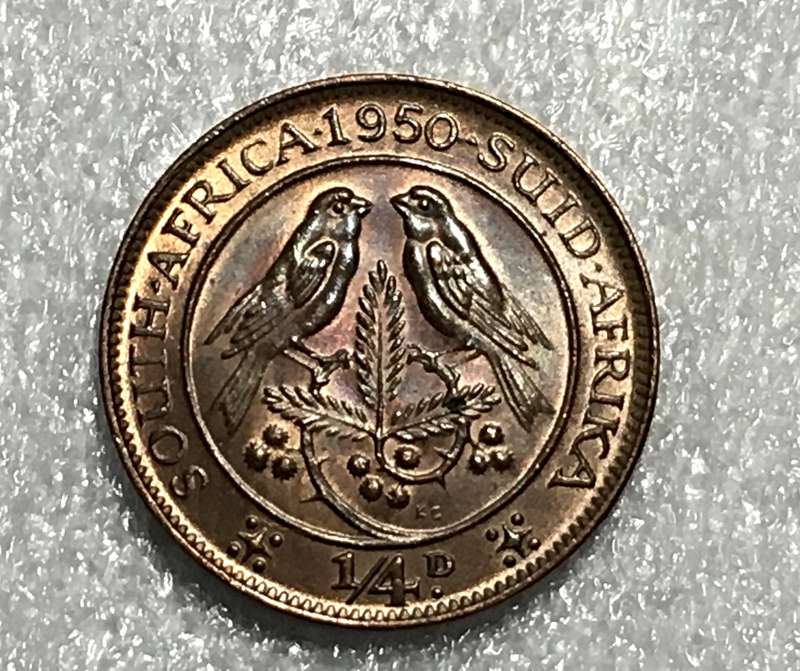 1950 Quarter Penny (George VI) Union of South Africa - KM 32.1