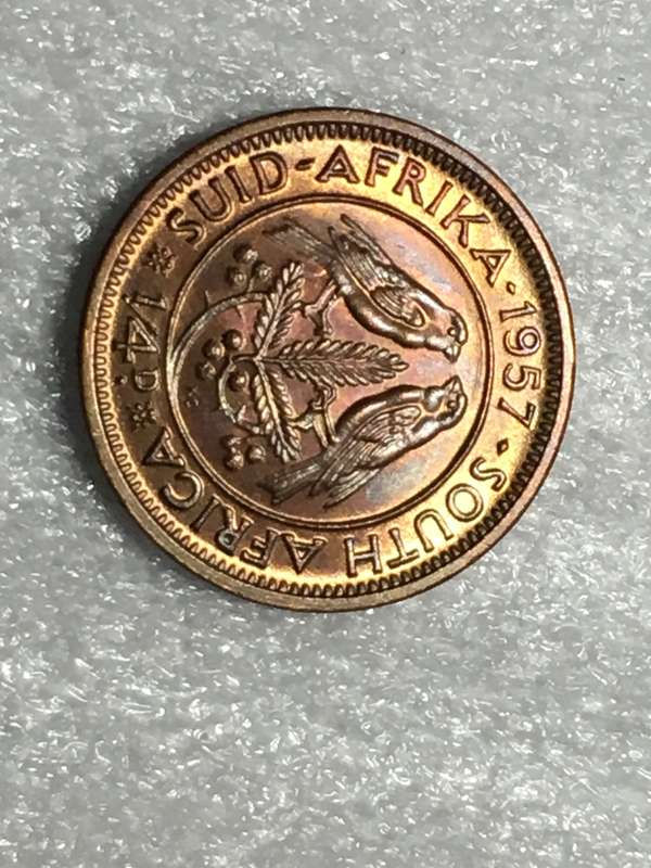 1957, 1/4 Penny (Elizabeth II) South Africa - KM# 44