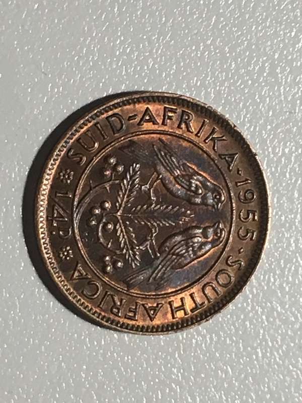 ¼ Penny (Elizabeth II 1st portrait) Union of South Africa, 1955