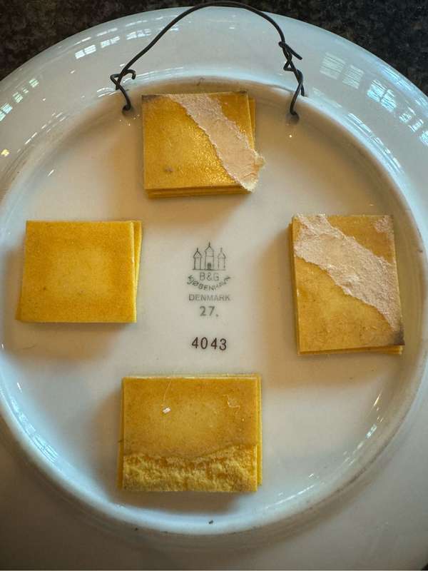 Danish plate