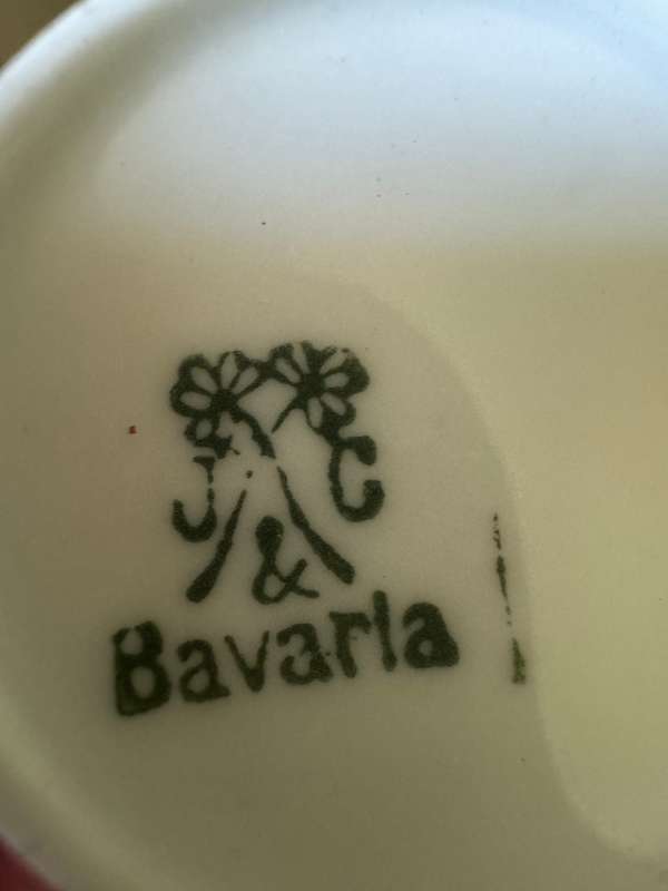 Bavarian floral cup and saucer