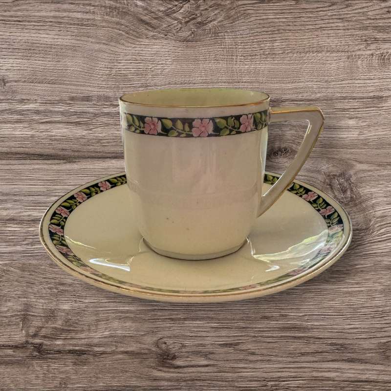 Bavarian floral cup and saucer