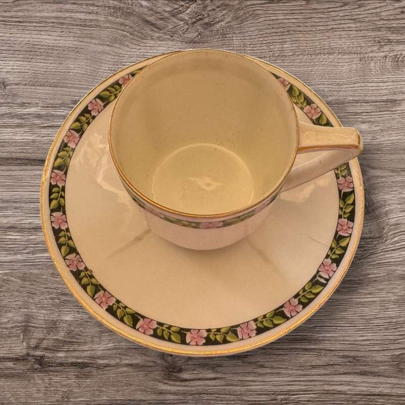 Bavarian floral cup and saucer