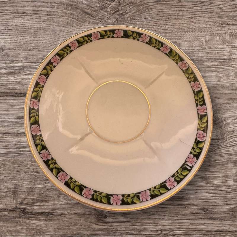 Bavarian floral cup and saucer