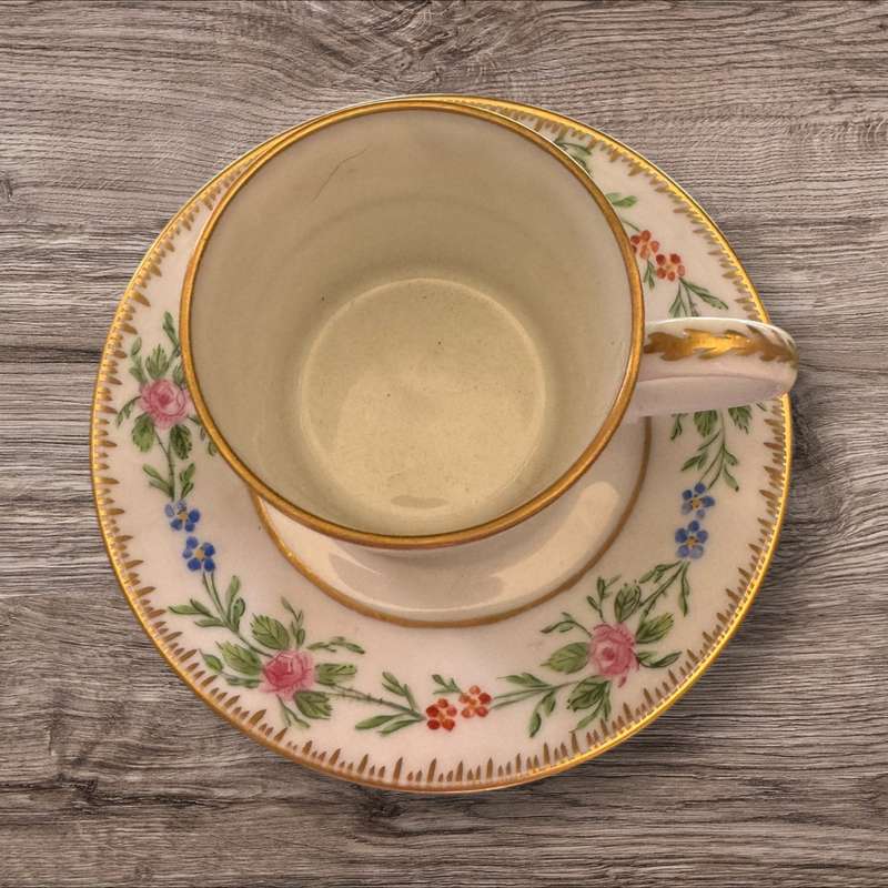 Bavarian floral cup and saucer