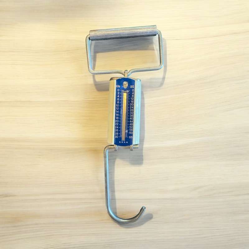 Baggage Scale