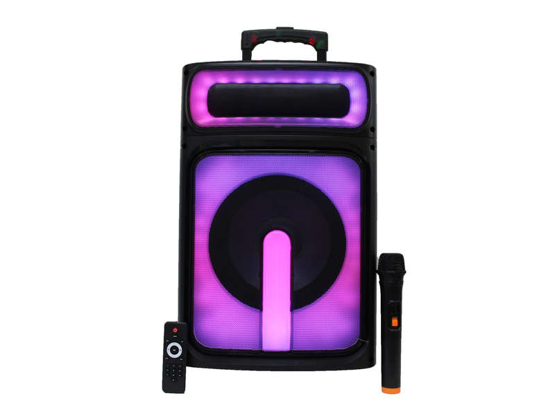 Lexuco 10'' Bluetooth Trolley Speaker