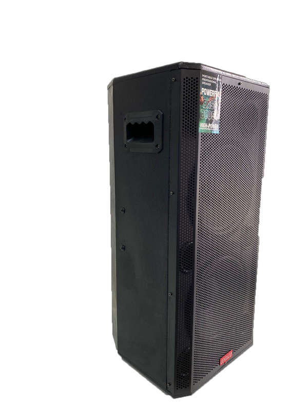 Lexuco Double 10'' Passive Speaker