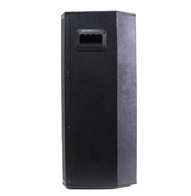Lexuco Double 10'' Passive Speaker
