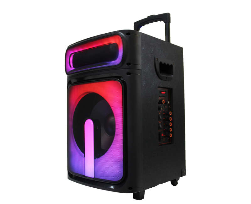 Lexuco 10'' Bluetooth Trolley Speaker