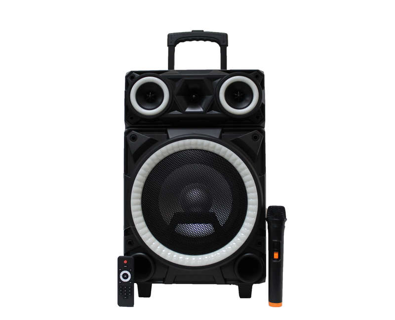 Lexuco 10'' Bluetooth Trolley Speaker