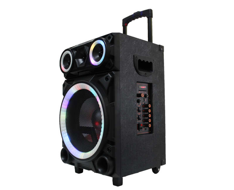 Lexuco 10'' Bluetooth Trolley Speaker