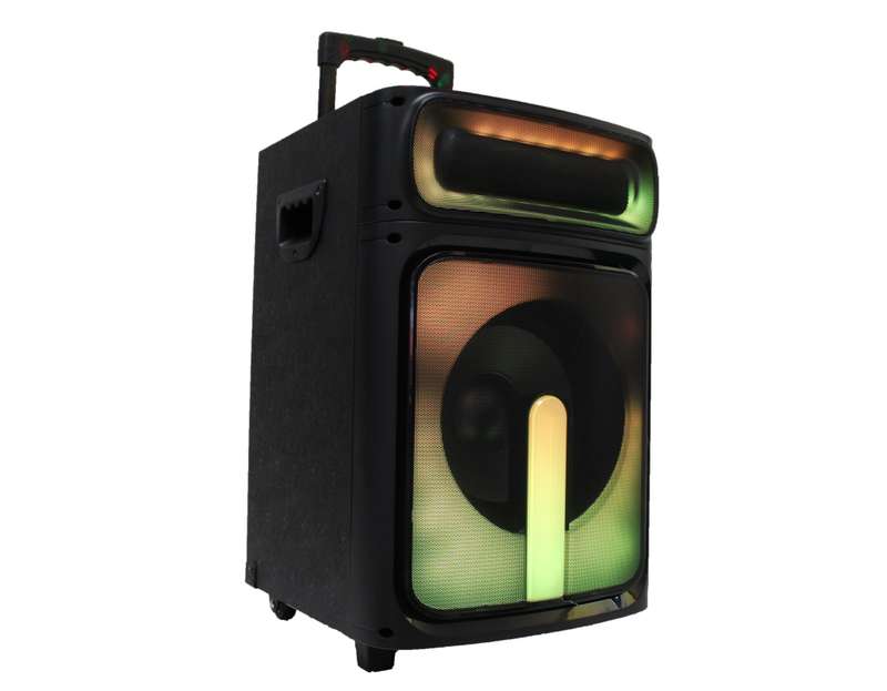 Lexuco 10'' Bluetooth Trolley Speaker