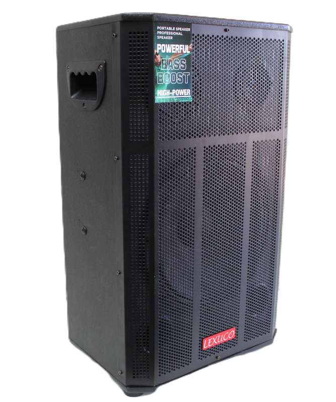 Lexuco  12'' Wooden Passive Speaker