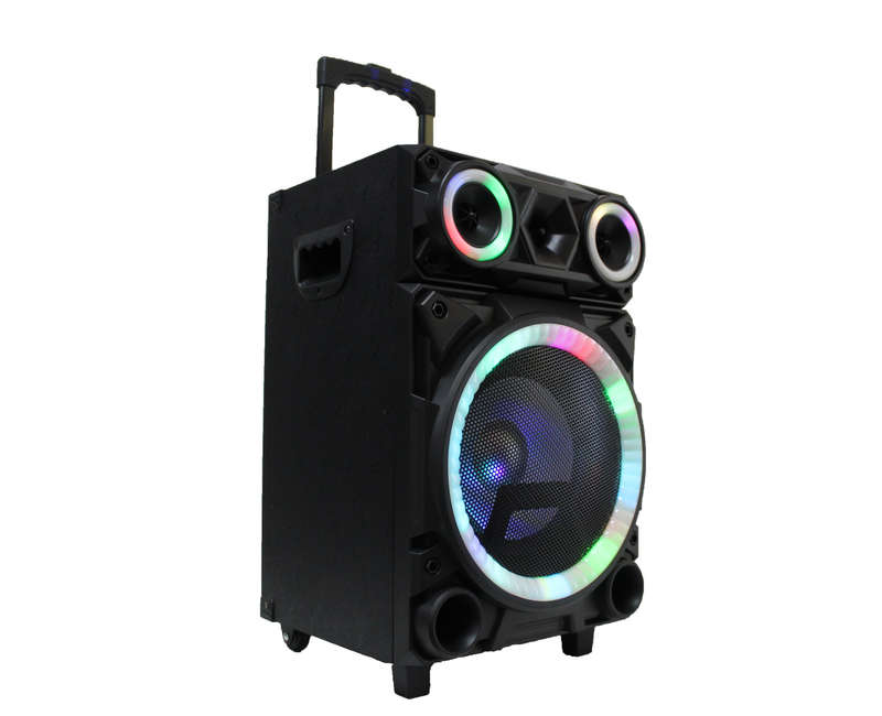 Lexuco 10'' Bluetooth Trolley Speaker