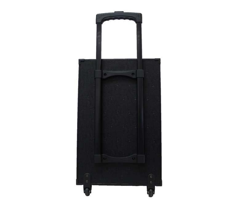 Lexuco 10'' Bluetooth Trolley Speaker