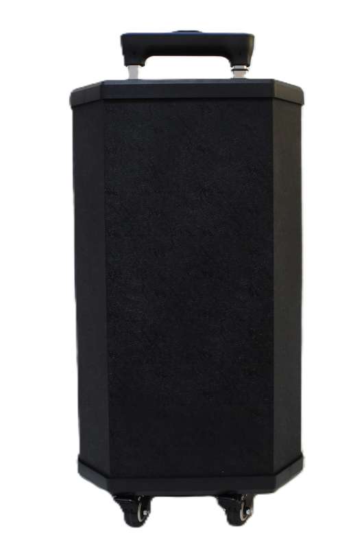 Lexuco 10'' Portable Bluetooth Trolley Speaker