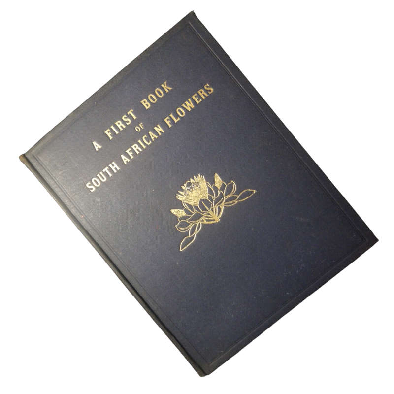 1928 A First Book Of South African Flowers by H. M. L. Bolus Hardcover w/o Dustjacket