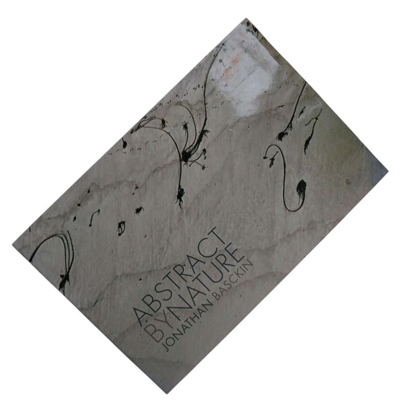 2007 Abstract By Nature By Johnathan Basckin Hardcover w/Dustjacket