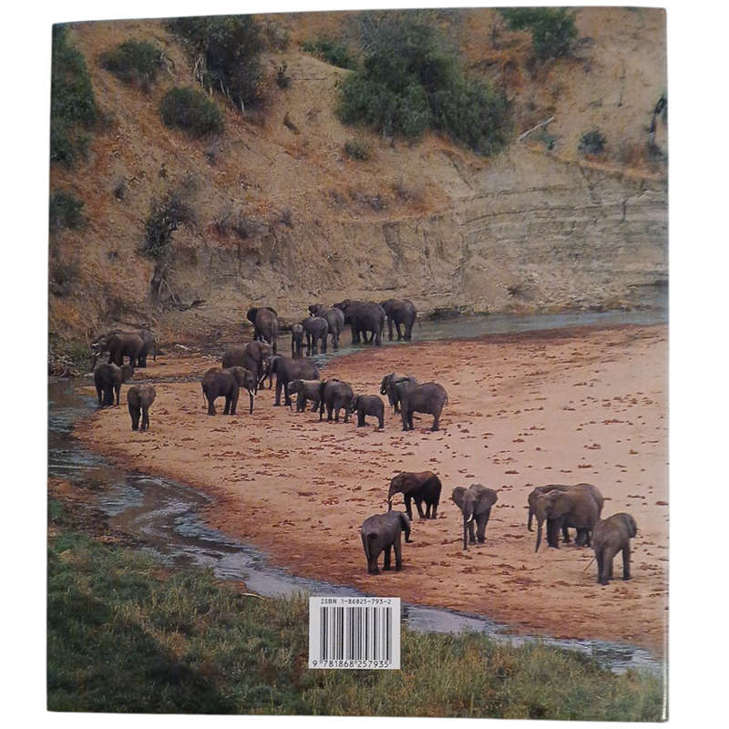 1997 African Elephants, A Celebration of Majesty By Daryl and Sharna Balfour Hardcover w/Dustjacket