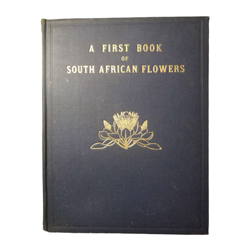 1928 A First Book Of South African Flowers by H. M. L. Bolus Hardcover w/o Dustjacket