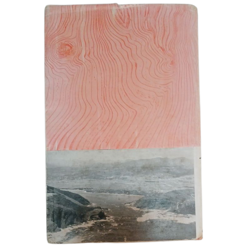 1961 Timber and Tides the story of Knysa and Pletternberg Bay by Winnifred Tapson Hardcover w/Dustja
