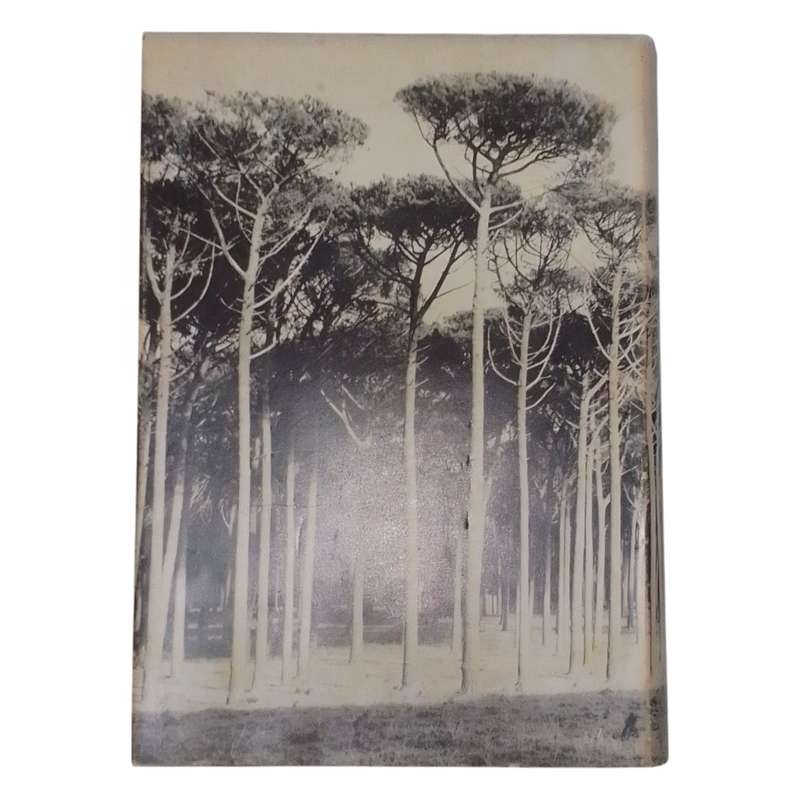 1977 Tree Planting in South Africa, Vol 1 & 2 The Pines  & The Eucalypts By R.J Poynton Hardcover w/