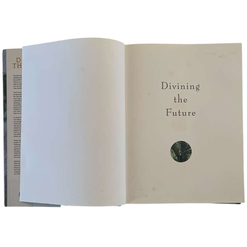 2000 Divining the Future by Sally Morningstar Hardcover w/Dustjacket