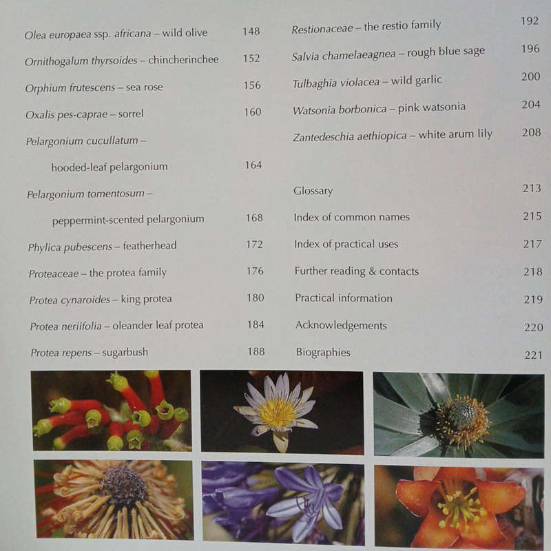 2008 In Celebration of Fynbos by Petra Vandecasteele Hardcover w/o Dustjacket
