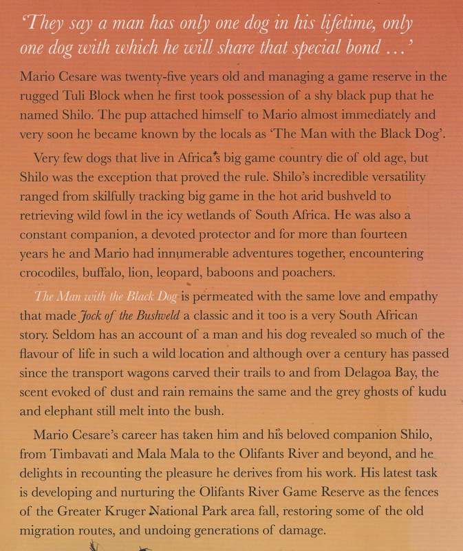 THE MAN WITH THE BLACK DOG by Mario Cesare