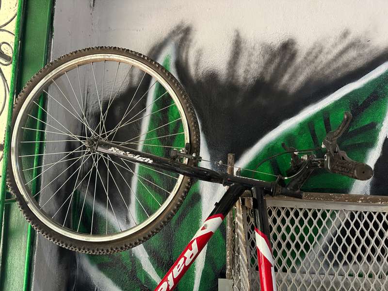Raleigh Bicycle-Good Condition
