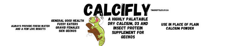 CALCIFLY  Gecko and Bearded Dragon Supplement