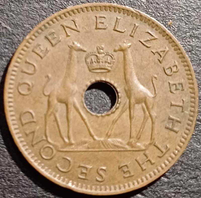 1955 Rhodesia & Nyasaland Half Penny