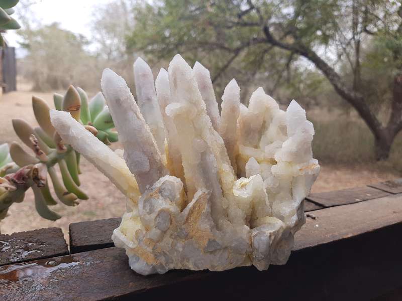 FAIRY QUARTZ CLUSTER 1.195kg