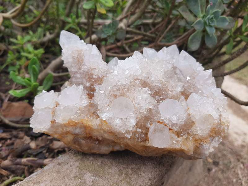 WHITE SPIRIT QUARTZ CLUSTER 1.245kg