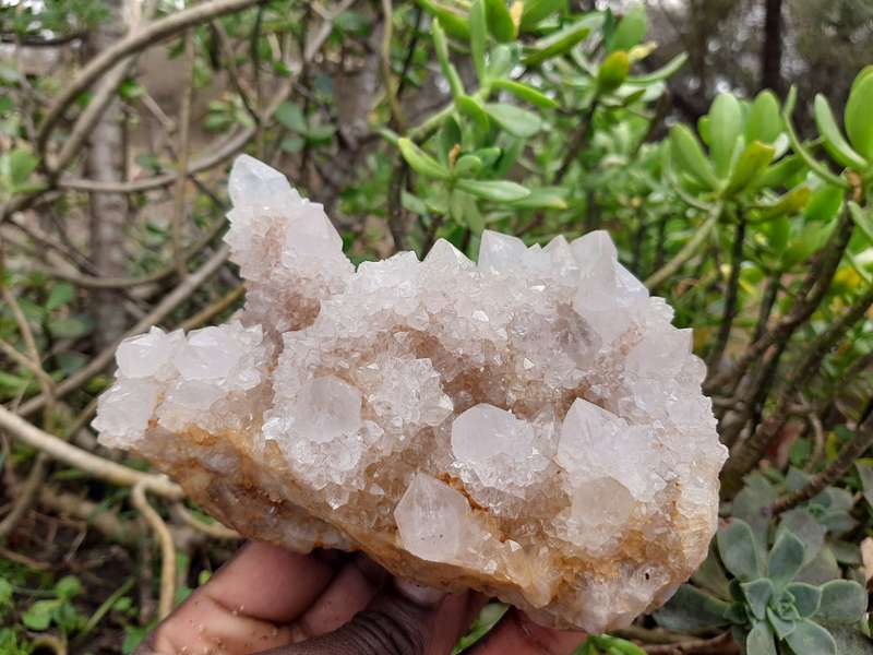 WHITE SPIRIT QUARTZ CLUSTER 1.245kg