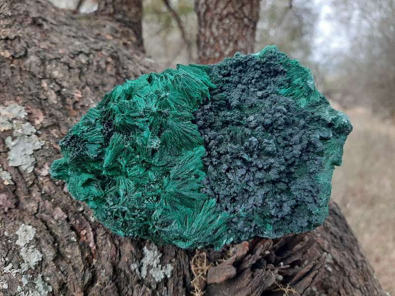 MALACHITE FIBROUS SILKY CONGO  0.565grams