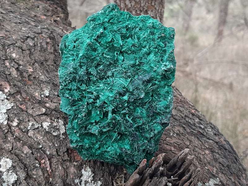 MALACHITE FIBROUS SILKY CONGO  0.565grams