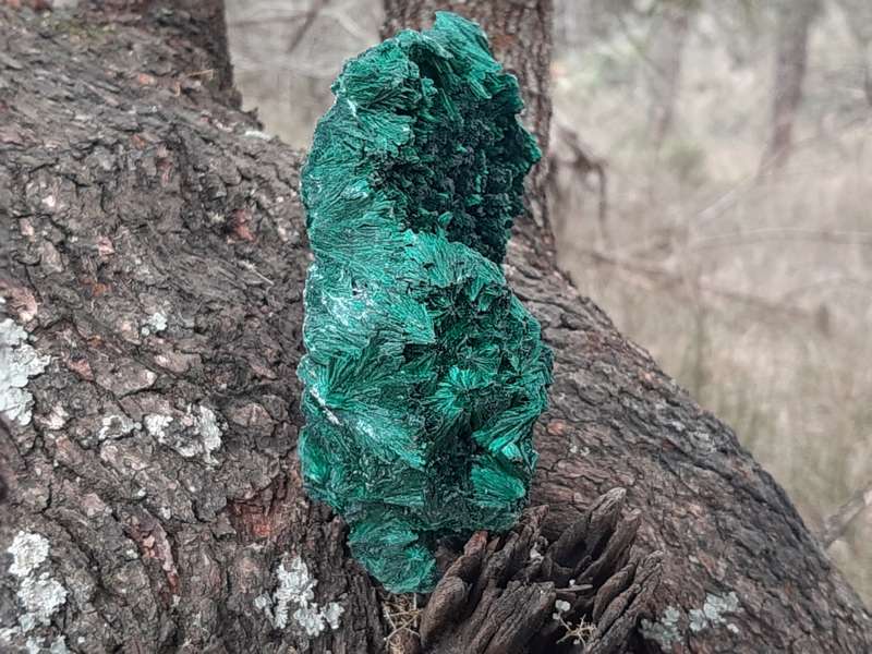 MALACHITE FIBROUS SILKY CONGO  0.565grams
