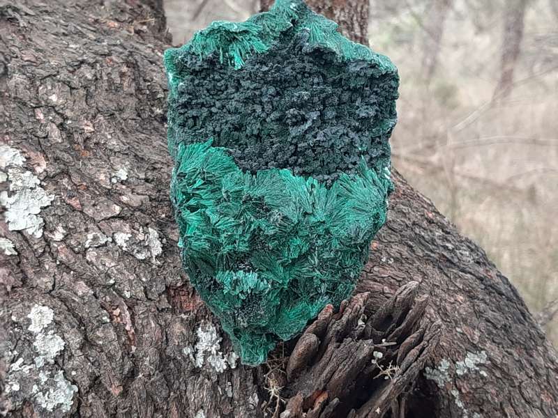 MALACHITE FIBROUS SILKY CONGO  0.565grams