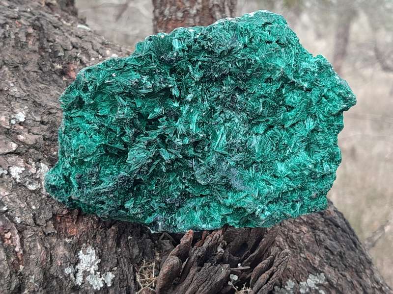 MALACHITE FIBROUS SILKY CONGO  0.565grams