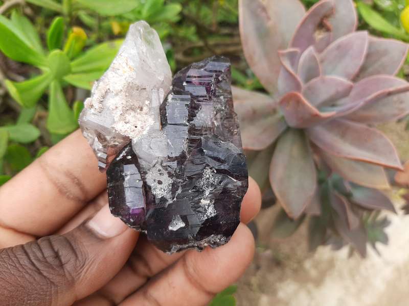 SHANGAAN AMETHYST 0.140grams