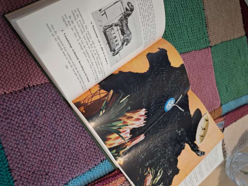 Boerdery Jaarboek 1959 to 1960 Redakteur en uitgewer Mike Spies (Farming-Yearbook)
