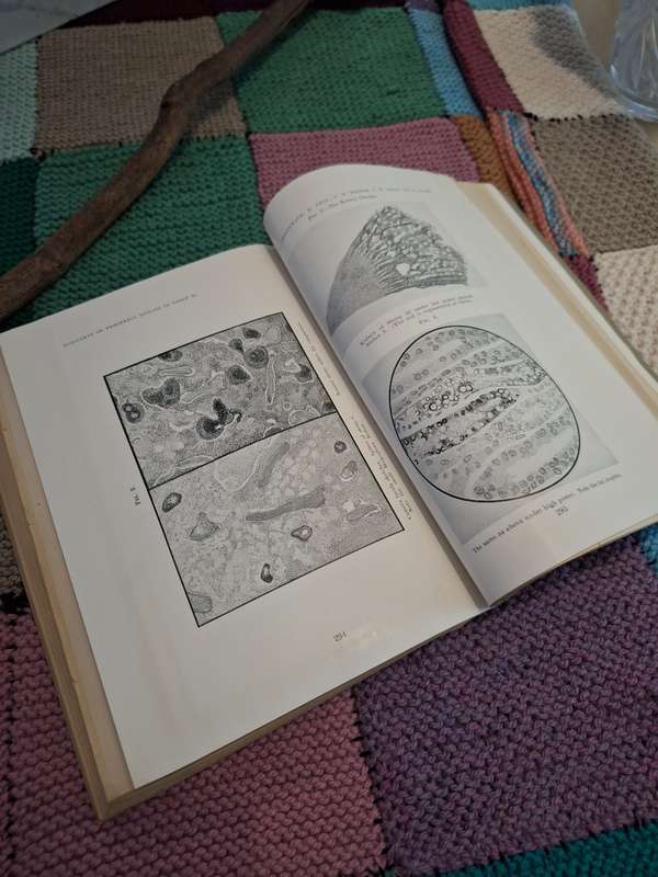 The Onderstepoort Journal Volume 17 nos. 1 and 2 Veterinary