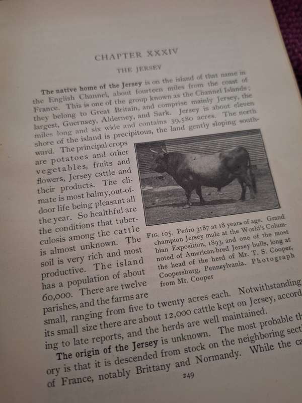Types and breeds of farm animals country life education series Plumb 1906