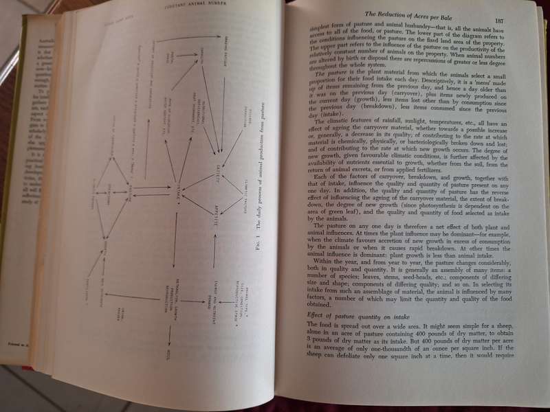 The Simple Fleece by Alan Barnard First Edition 1962 (Sheep Farming Australia)