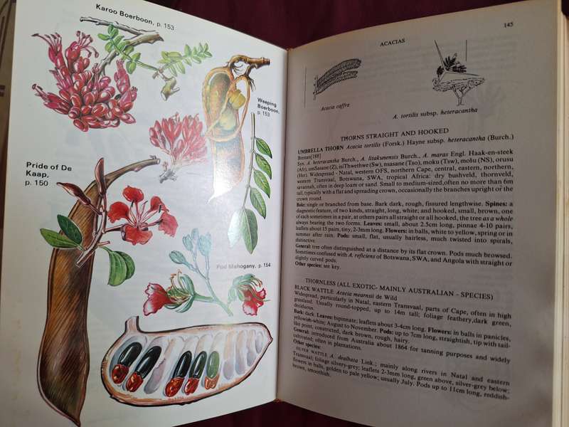 A Field Guide to the TREES of Southern Africa Eve Palmer 1981 Collins