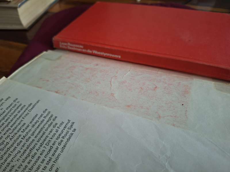 Fritz Deelman en die Woestynrowers - Leon Rousseau 1960 / Afrikaans Text.