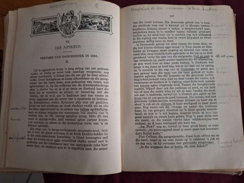 Die Nuwejaarsfees deur Leon Mare 1922 rare 3rd edition. Hertogprys 1919 Afrikaans text